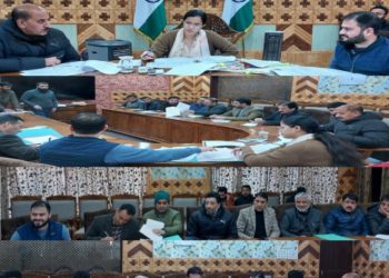 DDMA Kupwara approves 46 Relief Cases under SDRF Norms