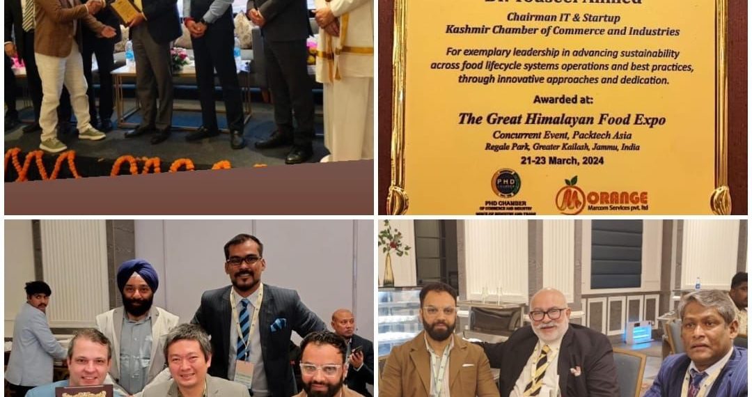 Dr. Touseef Ahmed Honored with Prestigious Sustainability Award 2024 at International Conference
