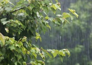 Light rain, snow at scattered places in J&K