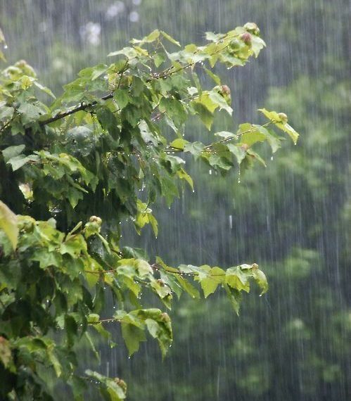 Light rain, snow at scattered places in J&K