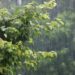 Light rain, snow at scattered places in J&K