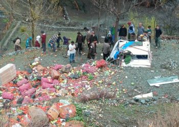 Tata Mobile Carrying Vegetables Crashes in Karnah, Resulting in Vegetable Loss.