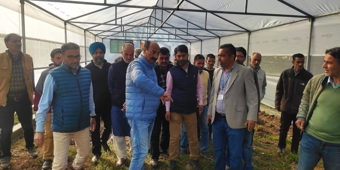 Dir Agri Kashmir visits Vegetable SMF Gangbugh