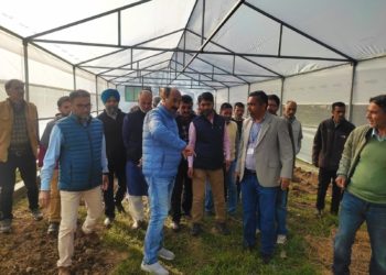 Dir Agri Kashmir visits Vegetable SMF Gangbugh