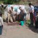 Green Jammu and Kashmir drive planted trees in GMS Seri Khawaja