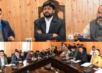 DC Ganderbal reviews progress of computation of PDI