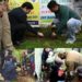 Lok Sabha Elections-2024  Plantation drive brings life to 364 Kulgam polling stations under SVEEP