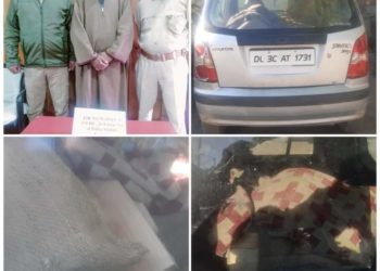 Police seizes illicit timber in Ganderbal; vehicle seized, driver arrested