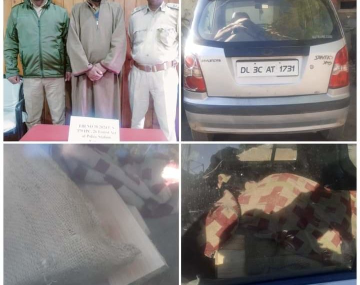 Police seizes illicit timber in Ganderbal; vehicle seized, driver arrested