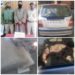 Police seizes illicit timber in Ganderbal; vehicle seized, driver arrested