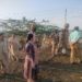 150 Kanal Prime State land retrieved as Samba admin launches major anti-encroachment drive