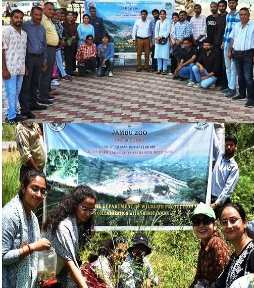 Wildlife Department launches “Parthenium Bio Control” drive in Jambu Zoo