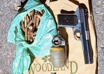 Two terror-associates apprehended with arms, ammunition in Anantnag: Police