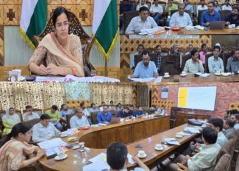 DC reviews functioning of Education department in Kupwara