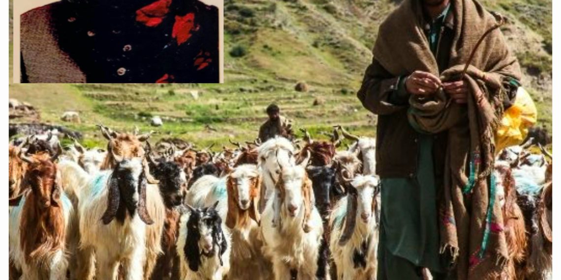 The Two Sections of Tehsil Karnah, Gujjar and Pahari, Deprived of Centuries-Old Nomadic Lifestyle Due to New Bureaucratic Hurdles