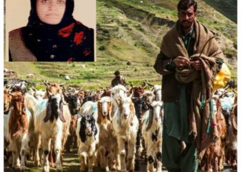 The Two Sections of Tehsil Karnah, Gujjar and Pahari, Deprived of Centuries-Old Nomadic Lifestyle Due to New Bureaucratic Hurdles