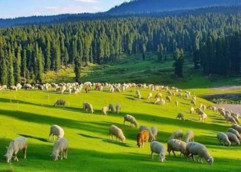 کشمیر جغرافیائی خطہ نہیں بلکہ ایک مفرد طرز زندگی ہے