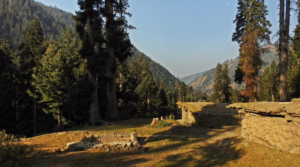 THE VALLEY OF SHADOWS: A STORY OF EMPATHY, CARE, AND TRANSFORMATION IN KASHMIR