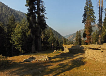 THE VALLEY OF SHADOWS: A STORY OF EMPATHY, CARE, AND TRANSFORMATION IN KASHMIR