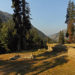THE VALLEY OF SHADOWS: A STORY OF EMPATHY, CARE, AND TRANSFORMATION IN KASHMIR