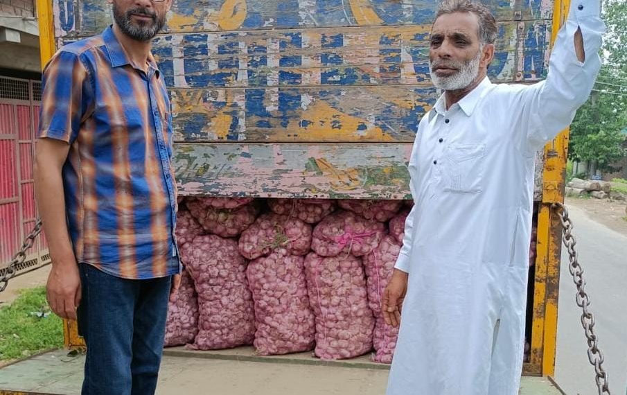 Garlic an ODOP product sustains farmers livelihoods, boosts economy of Kulgam