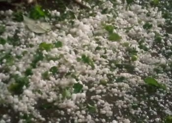 Hailstorm damages orchards, crops in Budhal of  rajouri