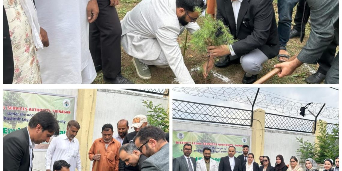 DLSA Srinagar Cultivates a Greener Tomorrow at District Court with Mass Plantation Drive