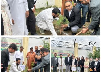 DLSA Srinagar Cultivates a Greener Tomorrow at District Court with Mass Plantation Drive