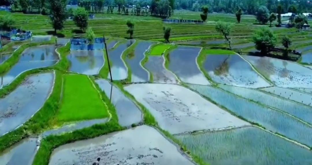 Over 300 flood affected  irrigation canals/Khuls restored,renovated in  Kupwara district  under MGNREGA convergence,  farmers have sighs of relief