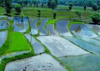 Over 300 flood affected  irrigation canals/Khuls restored,renovated in  Kupwara district  under MGNREGA convergence,  farmers have sighs of relief