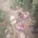 Suspected IED Like Material Recovered In Forest Area Of Poonch