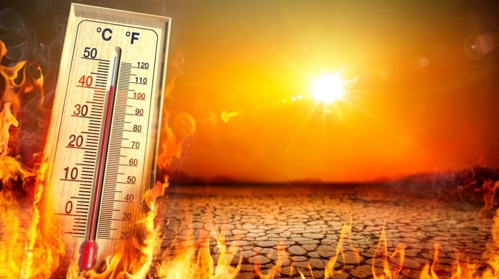 Punishing summer: 110 heatwave deaths reported, over 40,000 cases of suspected heatstroke