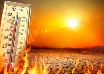 Punishing summer: 110 heatwave deaths reported, over 40,000 cases of suspected heatstroke