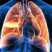 Cancer risk due to certain pesticides’ exposure comparable to that due to smoking, study finds
