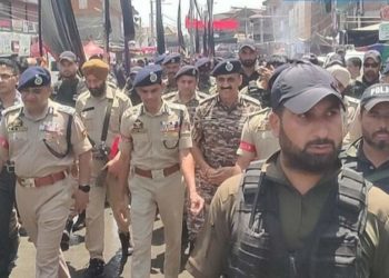 Some mischievous elements took law in their hands on 8th Muharram: IGP Kashmir