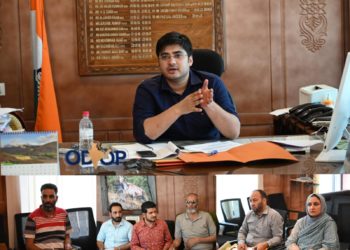 DC Shopian reviews performance of self-employment schemes, labour welfare initiatives