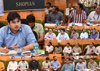 DDC Shopian chairs DLRC/ DCC meeting Reviews performance of financial institutions for Quarter 4th, 2023-24
