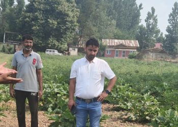 Director Agriculture visits SMF Harran