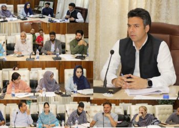 DC Srinagar chairs DLIC meeting Approves 12 SEI cases, 05 Mumkin & 14 Tejaswini