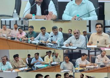 DC Poonch reviews progress under District Capex Plan