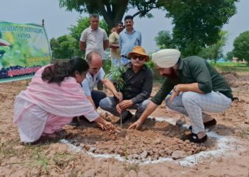 Director Horticulture launches massive plantation drive in District Kathua