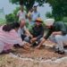 Director Horticulture launches massive plantation drive in District Kathua