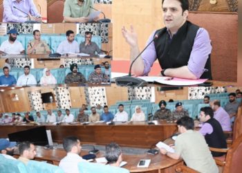 Arrangements for I-Day, 2024 celebrations reviewed at Kulgam