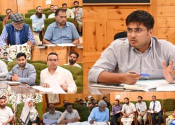 DC Shopian reviews functioning of Private Educational Institutions