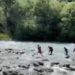 Sopore youth drowns to death in lidder in Pahalgam