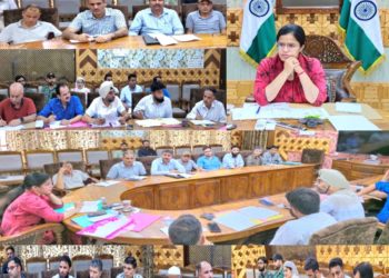 DC Kupwara chairs DLIC meeting of HADP