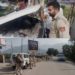 Motor Vehicle Department Poonch Conducts Enforcement Drive