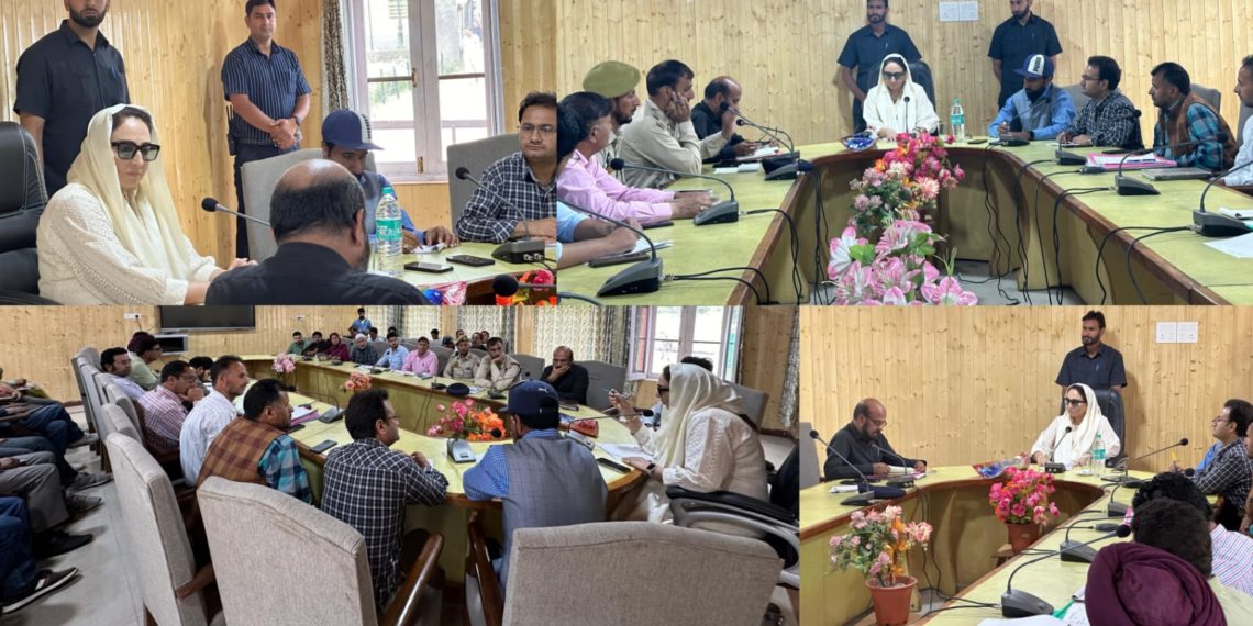 Dr Darakhshan Andrabi chairs meeting with senior officers from various departments at Dawar Gurez