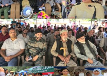ضلع ترقیاتی کمشنر کپواڑہ نے سرحدی علاقے کیرن میں میگا بلاک  دیوس کی صدارت کی۔