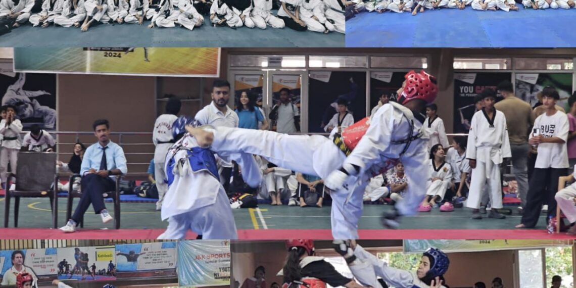 My Youth My Pride: Sports activities successfully concluded across Central Kashmir